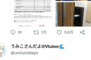 Vtuber「100万円で防音室買ったぞ！！」