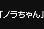 今ちょっと実家に戻ってるのですが　帰ってからずっと実家の妹から「ノラ」とか「ノラちゃん」と呼ばれるようになりました　「ノラ」という単語はどういう印象ですか？