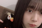 欅坂46森田ひかる「鳥は何羽いるでしょう? 」難度高すぎるクイズをブログで出題
