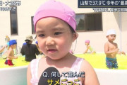 記者「プールでなにしてたの？」幼女「サメごっこ」