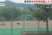 【動画】クマが中学校の校庭を走り回る ((((；ﾟДﾟ))))