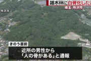 【埼玉】トトロの森に白骨化した遺体