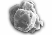 【科学】隕石の中から５０億年前の物質を発見、地球上で見つかった固体では最古