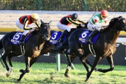 【JC上位を外国人が独占】競馬は騎手ってはっきりしてしまった件…