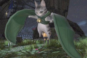 【FF14】ゲイラキャットは妖異なのか問題
