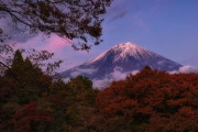 富士山登ると富士山見えないからもの足りんのよね