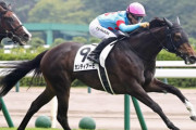 【2歳新馬】カンティアーモ強すぎワロタwww