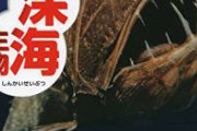 【閲覧注意】深海魚さん、とんでもない造形になる