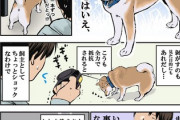 【散歩】なんだよこの漫画ｗｗｗ【注意】
