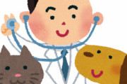 獣医って人間の医者よりすごくない？