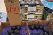 近所のグエンさん八百屋「🥑アボカド？うーん３コで１００円ｗ」