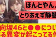 日向坂46と○○にある異変が起きてる件・・・・