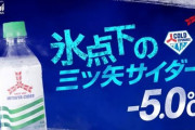 氷点下の自販機しゅごい///