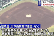 宮崎商業が甲子園辞退　部員が新型コロナに感染