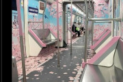 外国人さん、桜の電車を斜め上すぎる理由で絶賛してしまう…