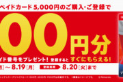 ニンテンドープリペイドカード･キャンペーン、セブンイレブン本日・ローソン8/12から‥カタログチケットを購入すればさらにお得に