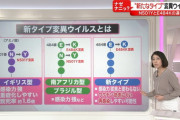 【悲報】日本政府さん、E484K変異ウイルスを頑なに日本型と認めない