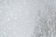 災害級の大雪・猛吹雪！10年に一度の「強烈寒波」が襲来