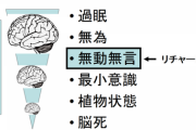 重度の脳障害患者に睡眠薬（マイスリー）を投与してみた → 意識を取り戻し会話できるように[10/25]