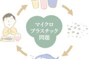 【朗報】マイクロプラスチックさん、忘れられる
