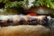 バーガーキング「うちのワッパーは保存料不使用なのでカビます！」