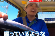 さかなクンさんの愛車、癖が強すぎるｗｗｗｗｗｗ