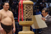 【画像】大相撲で一番謎の賞、これ