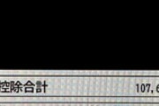 【明細画像】ワイ「10月の給与明細みてみるか...」