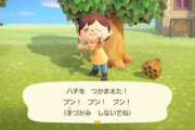 【あつまれどうぶつの森】ハチに刺されたー　←刺されてる時にもう一度刺されるとマイルあり！