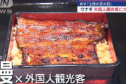 日本のうなぎ、海外にバレる
