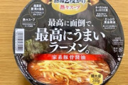 【朗報】日清食品で最高にうまいラーメン。を発売してしまう…… （※画像あり）