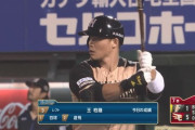 日ハムの王柏融みてると陽岱鋼とか大豊って凄かったんやな