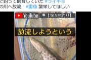 【悲報】釣り系YouTuber「ペットのライギョを川に放流します」→炎上してしまうｗｗｗｗ