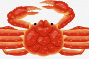 【悲報】カニの可食部、少な過ぎるｗｗｗｗ　コスパ悪過ぎや