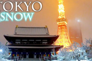 海外「きれいで賑やか！」年明け間もなく大雪が降った東京各地の1日の映像