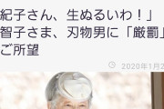 【悲報】悠仁さま、異世界転生ものにハマり物語の設定資料を作っていることを関係者にバラされる