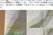 カフェで勉強してたら「マーカー引いて勉強してるの馬鹿そう」と聞こえるように言われた話からマーカー派によるさまざまな活用法が集まる