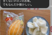韓国人「日本人が韓国メロンである『韓国マクワウリ』を食べた結果‥」　韓国の反応