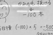 【画像】マイナス×マイナス＝プラス ←意味が分からない