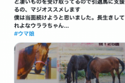 【ウマ娘効果】引退馬の寄付金募ったら一日で800万円集まる（去年170万円）【ウマ娘のお陰】