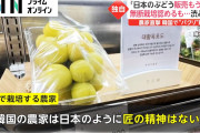 【ほろよい】日本の高級ぶどう また“パクリ”　韓国で無断栽培 驚きの言い訳「韓国の農家には日本のように匠の精神はない」