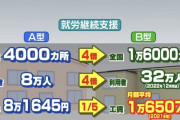 【悲報】わーくに、32万人もの障がい者が月給1万円で働かされる美しい国だった……
