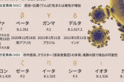 コロナの変異株ってどこまで増えるんだろうね
