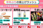 ｢なんでもかんでも価格が上がる｣食料品､ 有識者｢価格引き上げは続く可能性がある｣