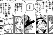 【ワンピース】でも実際ウソップの戦闘力じゃルフィに着いていくの怖いよな