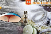 【悲報】アニサキス大繁殖のせいで、日本の刺身文化が絶滅寸前になっている件について
