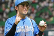 上川畑大悟がパ二塁でトップに浮上　日本ハム勢が8部門を占める…球宴ファン投票