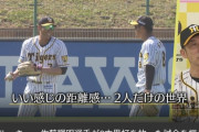 阪神矢野監督←『名将』と全く言われない理由