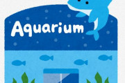 【画像】桂浜水族館、入場待ちで長蛇の列…公式『念願叶えるのやめてもろて』『泣く……。』