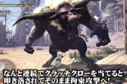【MHWI】これ露骨に2回組さらに死ぬんじゃね？【アイスボーン】
